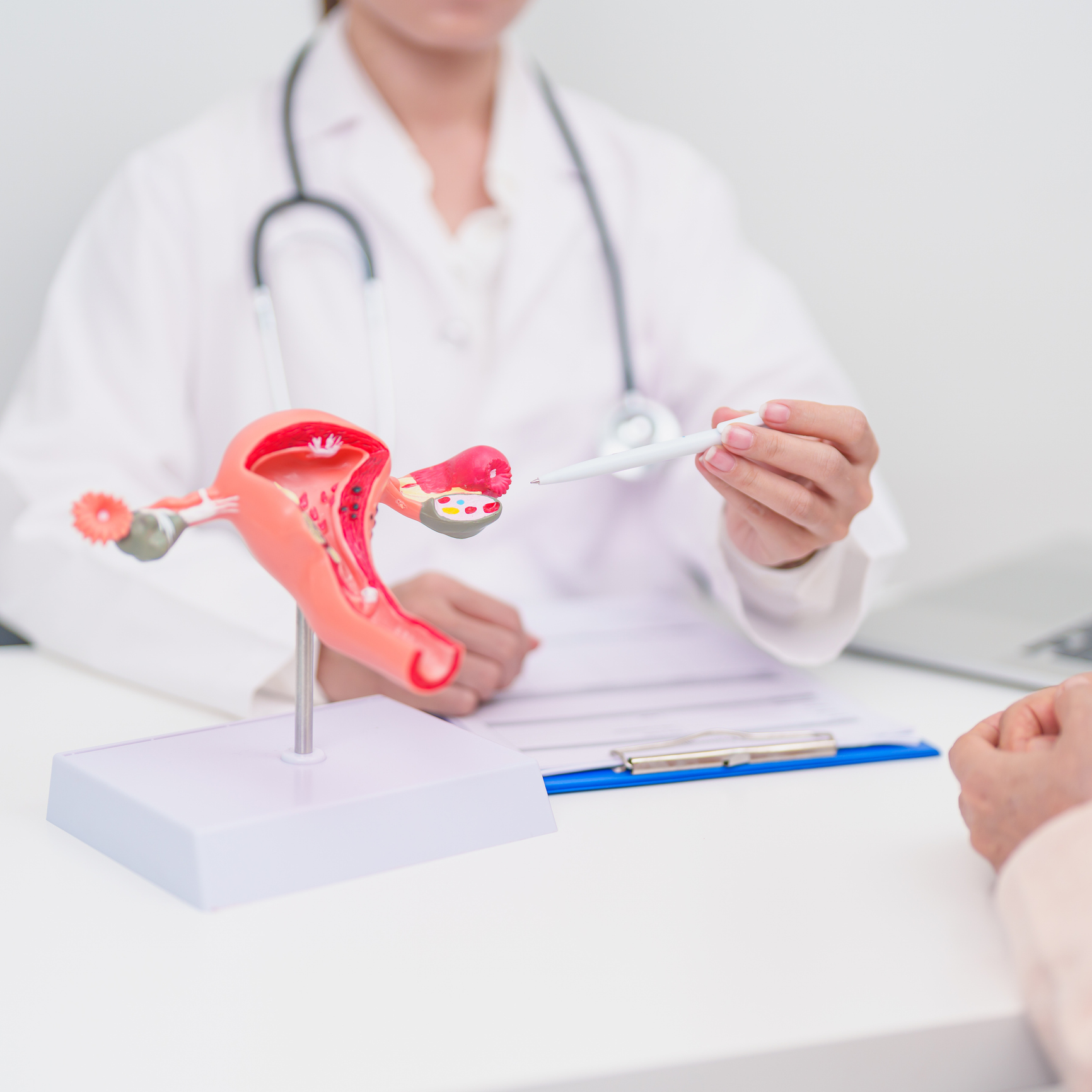 Medical consultation with anatomical model