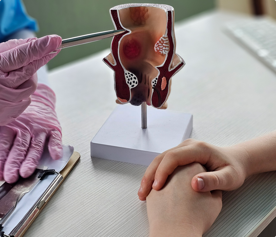 Healthcare consultation with anatomical model