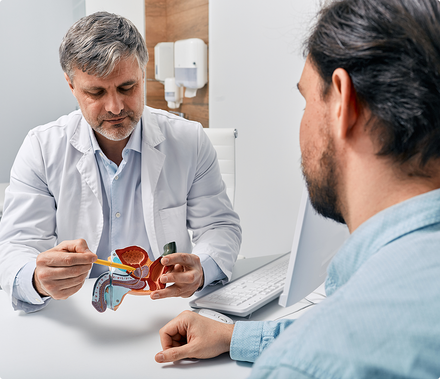Doctor explaining with anatomical model