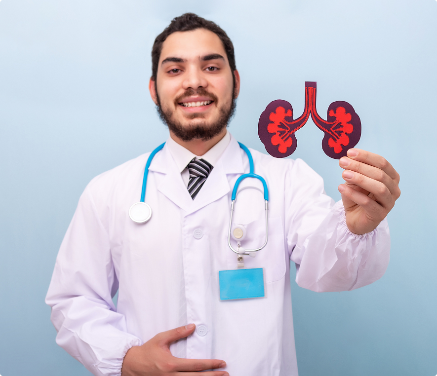 Medical expert showing kidney diagram