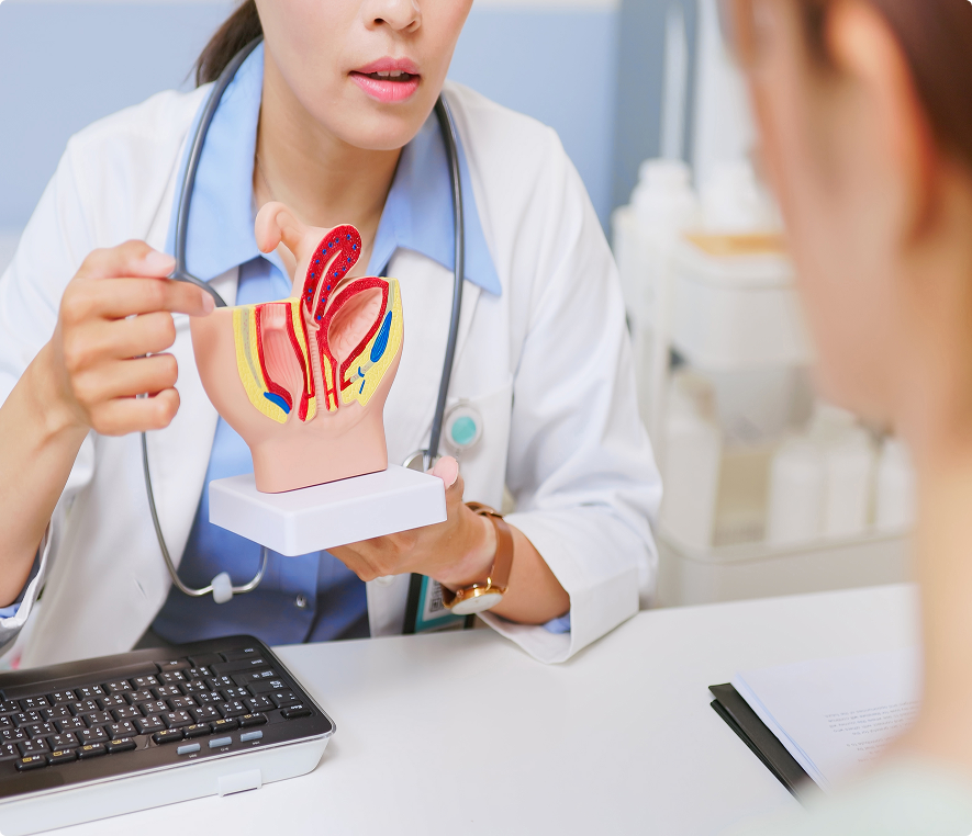 Medical consultation with ear model