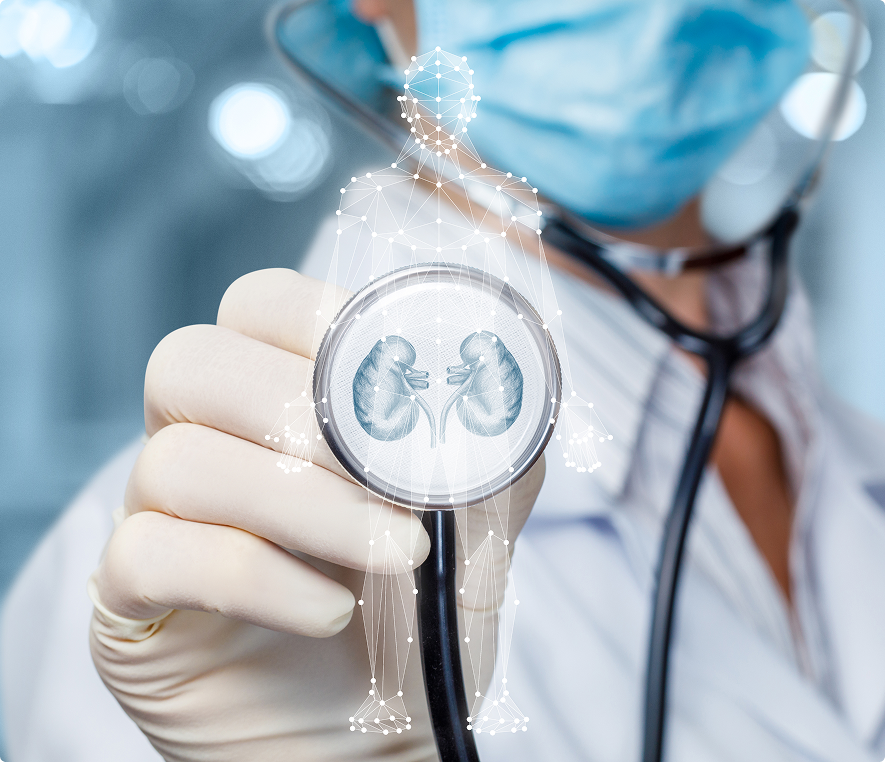 Medical professional showing kidney health concept