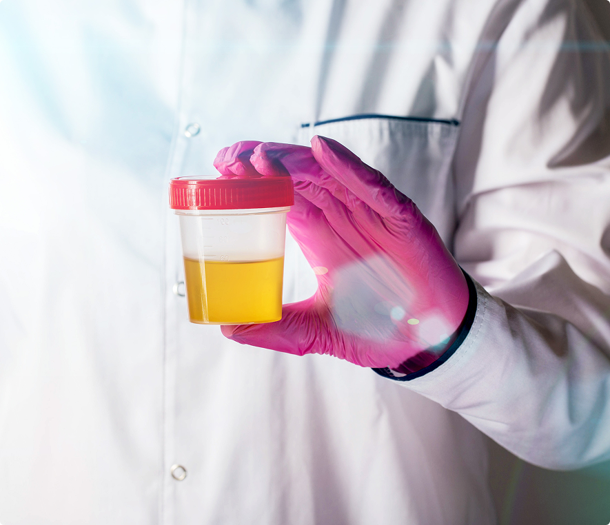 Medical professional with urine sample